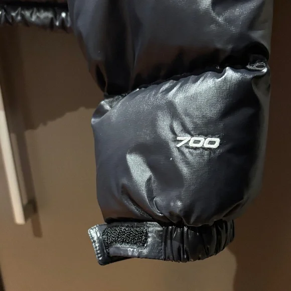 The North Face 700 Black Puffer Coat - Picture 2 of 5